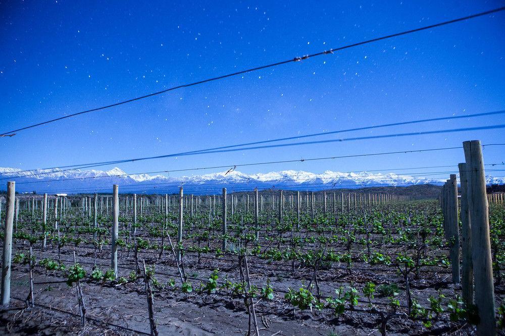 Auberge Du Vin, A Tribute Portfolio Hotel Tupungato Luaran gambar
