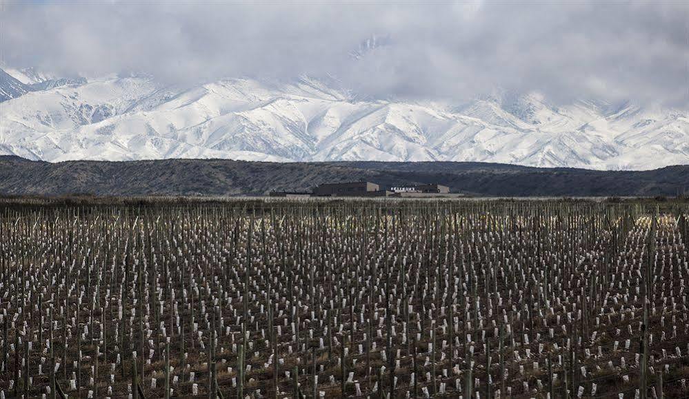 Auberge Du Vin, A Tribute Portfolio Hotel Tupungato Luaran gambar